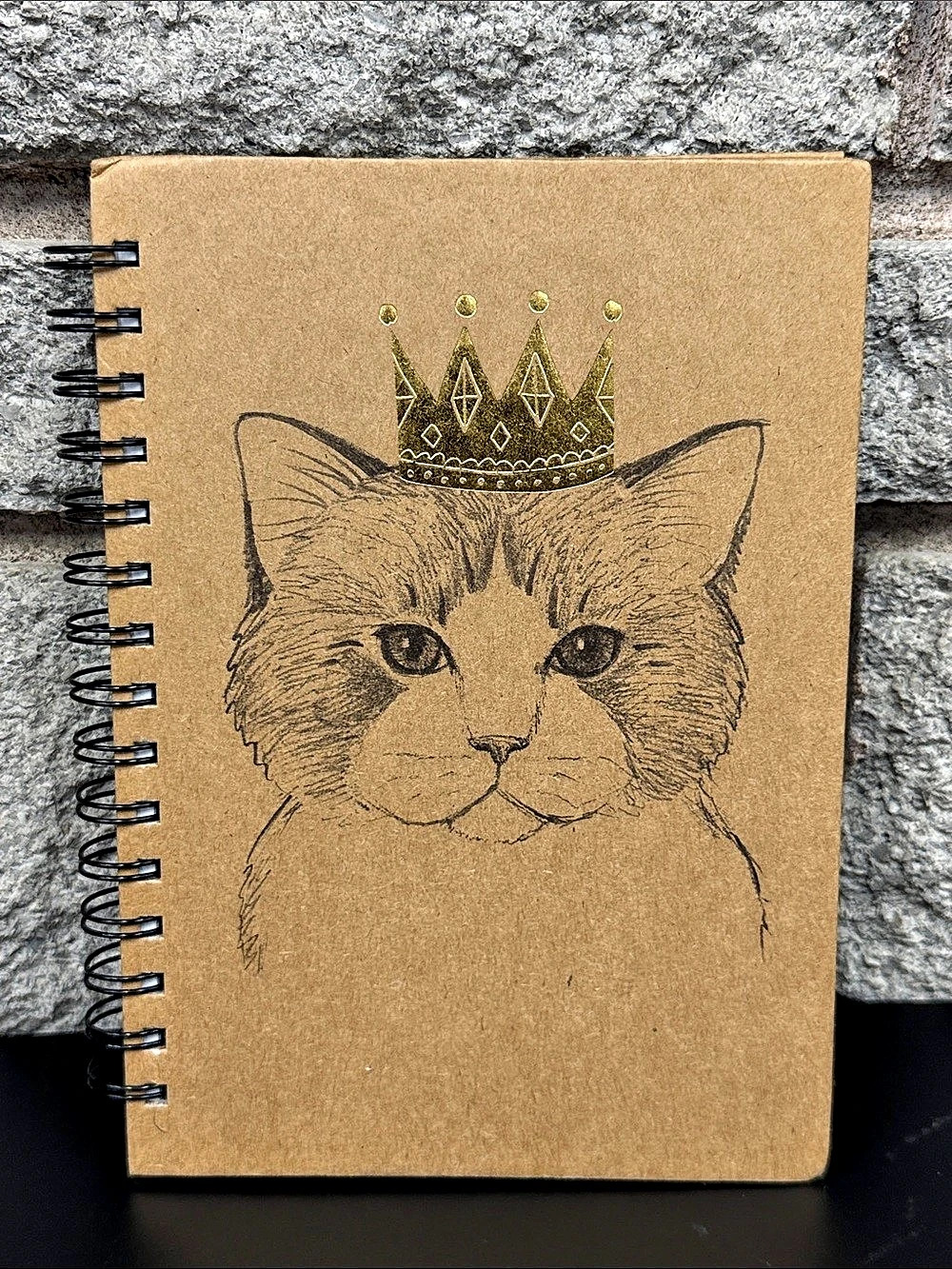 Chasing Lola Crowned Cat Spiral Journal Notebook Tri-Coastal Design 2017 Unused